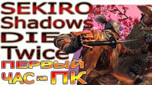 Sekiro Shadows Die Twice на среднем пк. Начало игры. (xeon e3 1245 v2/GTX 1050ti/16 Gb ОЗУ/Win10)