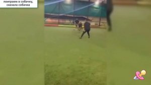 😂  😂 РЖАЛ ДО СЛЕЗ😂 ПРИКОЛЫ😂  СМЕШНЫЕ ПАДЕНИЯ 😂 И СМЕШНЫЕ НЕУДАЧИ ИСПУГИ ЛЮДЕЙ