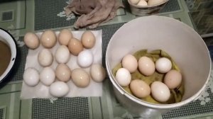 Вечный спор птицеводов. Мыть ли яйца перед закладкой в инкубатор.