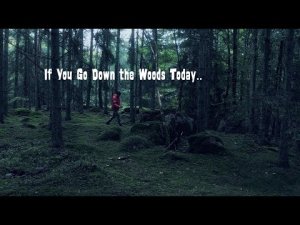 If You Go Down the Woods Today..