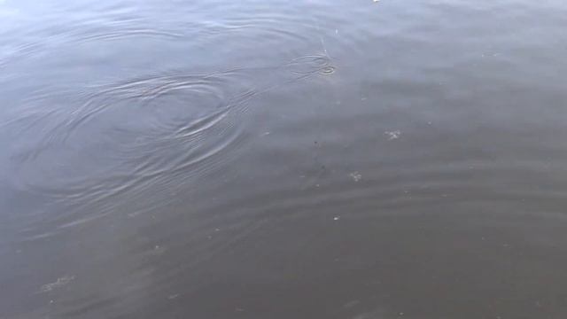 ВИДНАЯ УСАДЬБА РЫБАЛКА