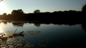 3 ВЕДРА РЫБЫ ЗА ЧАС НА РЫБАЛКЕ! ОДНА ТАБЛЕТКА ЗАСТАВИЛА КЛЕВАТЬ ВСЮ РЫБУ!