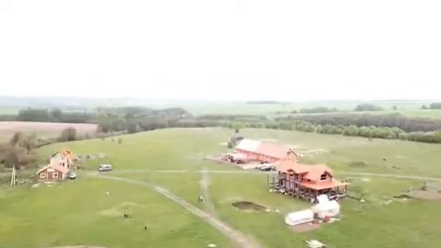 Обучение верховой езде в Заокском районе смотреть онлайн