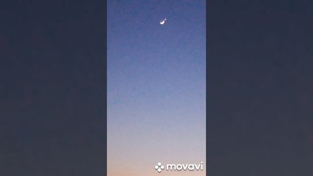 Диво дивное ,чудо чудное смотреть онлайн