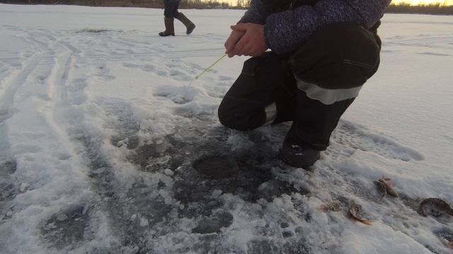 рыбалка с сыном 2020, поиск окуня в с. Елшанка Саратов смотреть онлайн