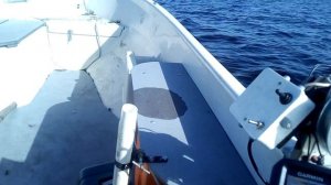 Terhi Nordic 6020 with Mercury 30efi 48~49 km/h