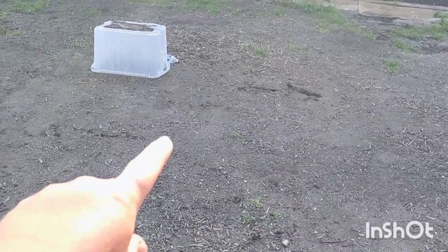 We Have BLOOMS! 💐 | May CUTFLOWER Garden Update | CUTTING GARDEN смотреть онлайн