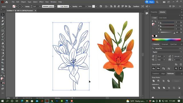 Flower Line art Drawing Illustrator VECTOR 2022 смотреть онлайн