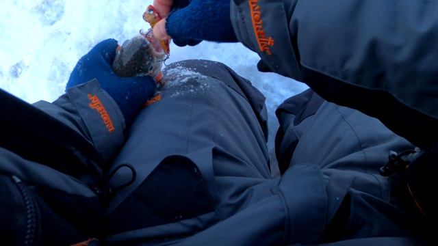 Ловля форели зимой на платнике РК "Чайка" смотреть онлайн