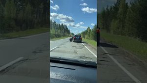 Медведь в Усть-Илимске