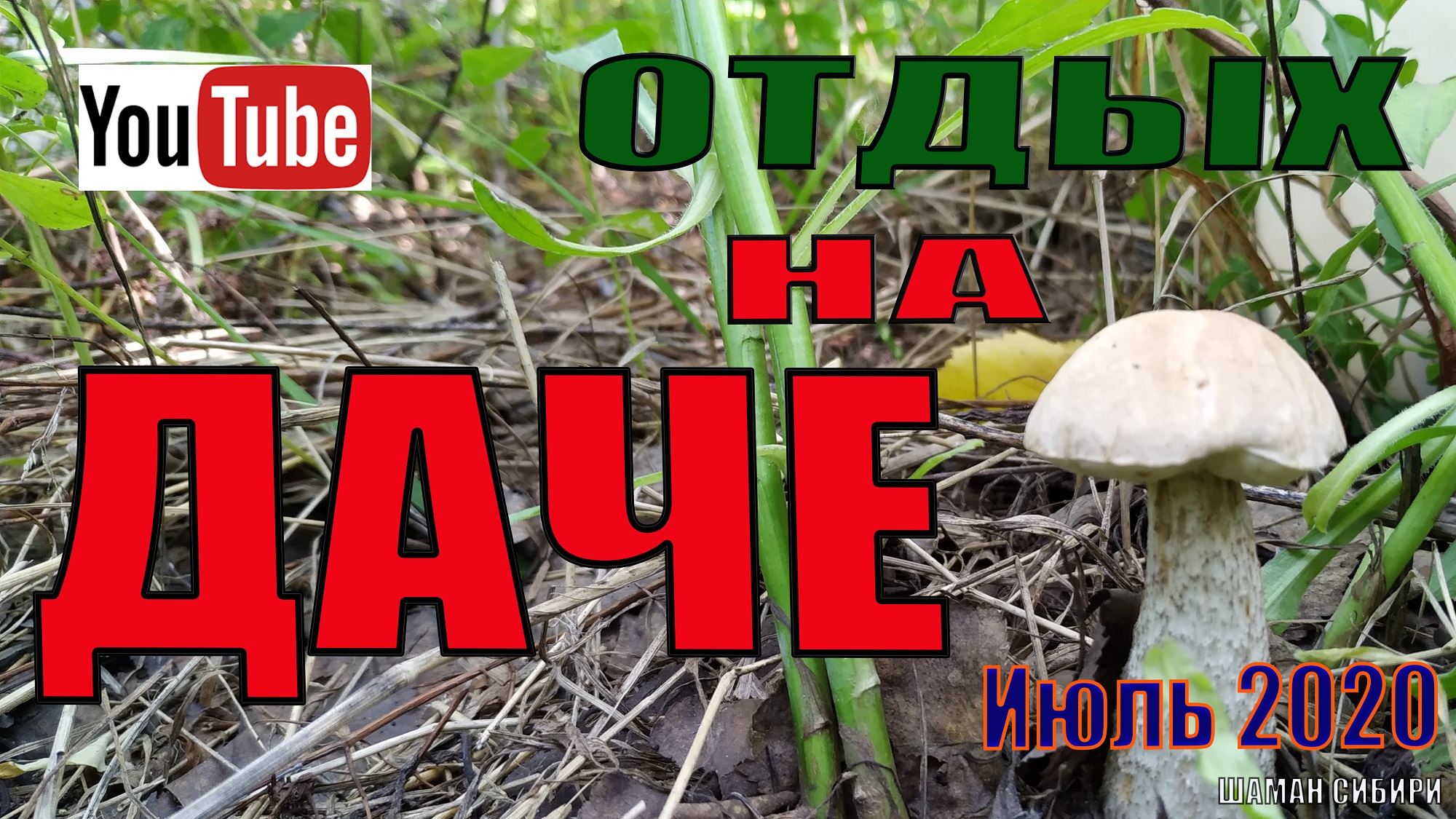 Дача Июль 2021г.