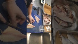 как быстро филировать Дорадо