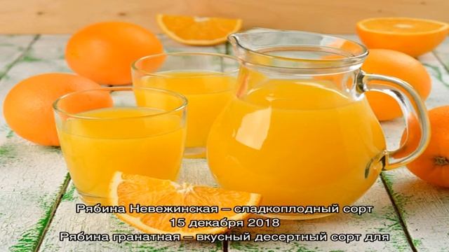 Как закрыть на зиму сок из черноплодной рябины?