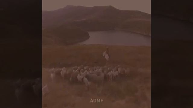 Притча для родителей. смотреть онлайн