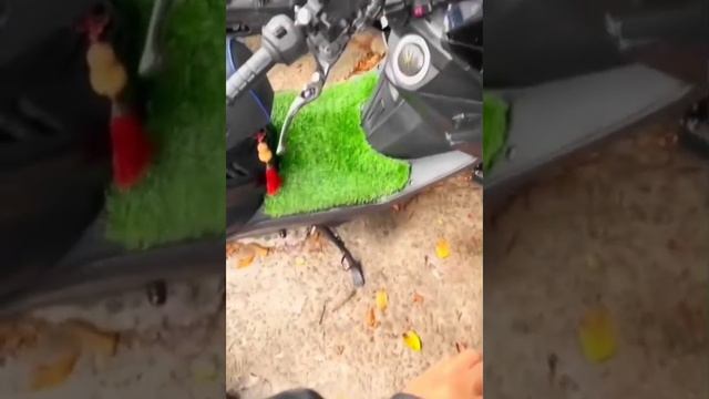 Бюджетная сигнализация ?