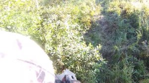 Сайга 12К охота экшн камера