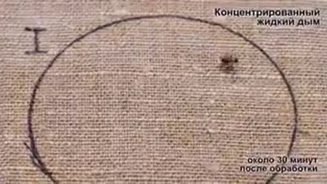 Жидкий дым против клещей эксперимент смотреть онлайн