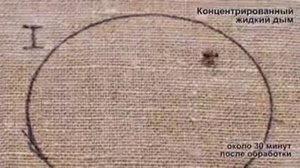 Жидкий дым против клещей эксперимент