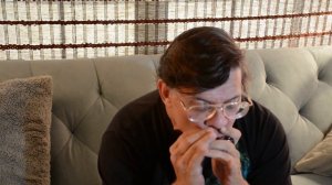 fender blues deluxe Harmonica Demo 1