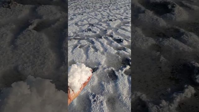 Образование соли на солончаке