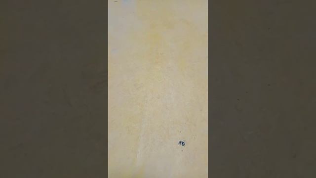 пайка мармолиума с заводом на стену 2