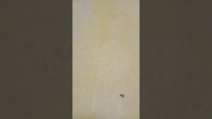 пайка мармолиума с заводом на стену 2