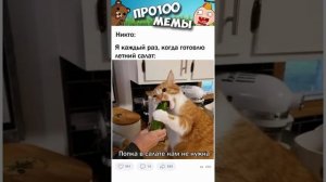 Мемы и приколы с озвучкой #мемы #коты #приколы #shorts #угар #мемыпро100 #коты #кошки