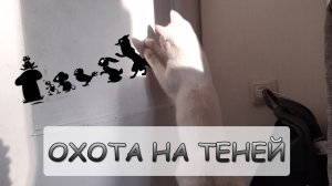 Охота на теней или как кот охотится на птичек😺