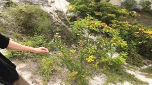 Идём в гости к монаху-отшельнику на Загайтанской скале. Инкерман. Севастополь