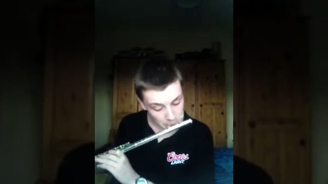 Trepak - Tschaiklwsky -Flute Cover смотреть онлайн