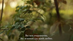 Xayolimda bo’lding uzun kun  Елизавета Трофимова