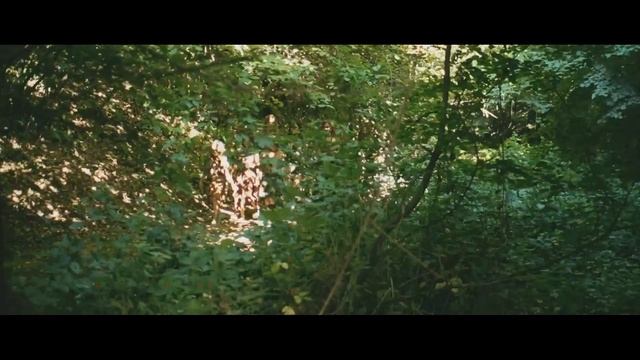 Арог | Български филм