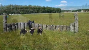 Время обучаться верховой езде! \vlog#2