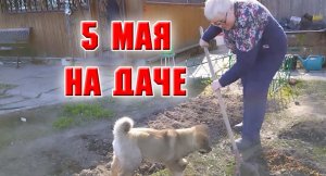 5 мая. На даче.mp4