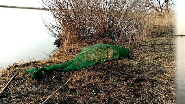 Какая приманка лучше подходит для ловли раков. смотреть онлайн