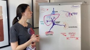 Портальная гипертензия (предпечёночная, печёночная, постпечёночная) | Патологическая физиология