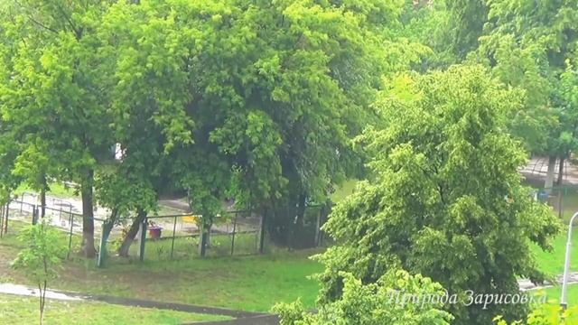 5 ЧАСОВ ЛЕТНОГО ДОЖДЯ, звуки дождя для расслабляющего сна, бессонницы, медитации, учебы смотреть онлайн