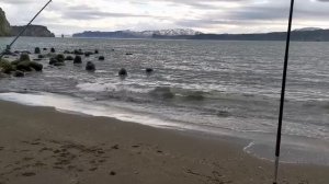 Первый выезд на камбалу. Камчатка.