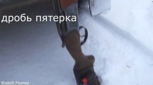Глухарь 2020,дробь 5ка с 40 метров.Иж 27 охота на глухаря в Вытегре.
