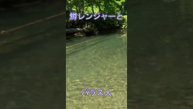 Sight fishing for wild trout　TURING MONKEY SP40 （鱒レンジャーとバラシスト）【旧動画】 #渓流ルアーフィッシング