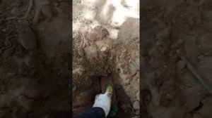 ?Коп с MD 4030?(Что можно найти?)