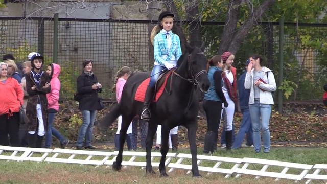 Тихонова Юлия на коне Самурай