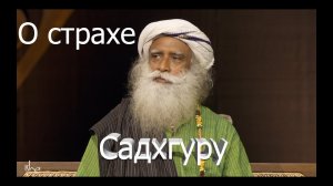 О страхе, успехе, управлении собой. Садхгуру