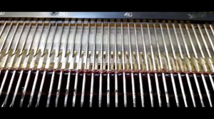 Бактус| Связан на машинке Нева-5