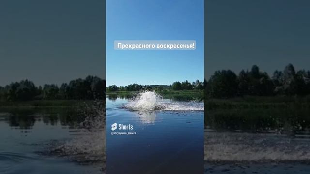 Моё воскресное утро в деревне.