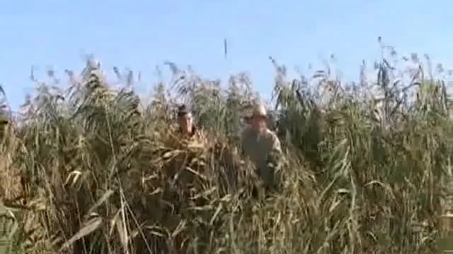 открытие охоты 2011 сентябрь ,как это было смотреть онлайн