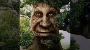 МУДРОЕ МИСТИЧЕСКОЕ ДЕРЕВО ДУБ ПОД ГРУСТНУЮ МУЗЫКУ ИЗ СКАЙРИМА МЕМ ОРИГИНАЛ 1 ЧАС ЕСЛИ ВАМ БОЛЬШЕ 25