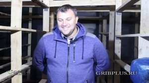 01) Стелажи и помещение для выращивания Вешенки