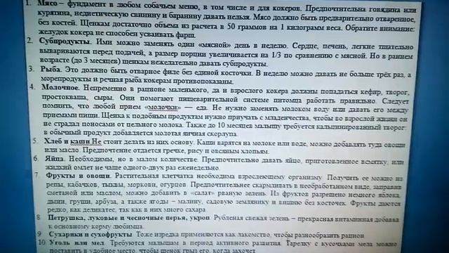 Как правильно кормить спаниеля смотреть онлайн