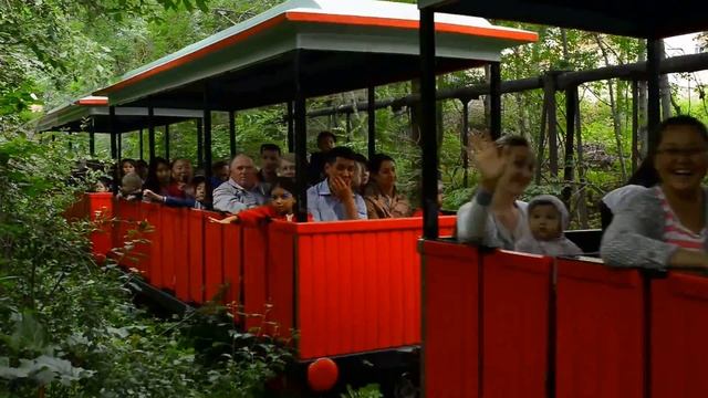 Центральный парк Горького Алматы смотреть онлайн